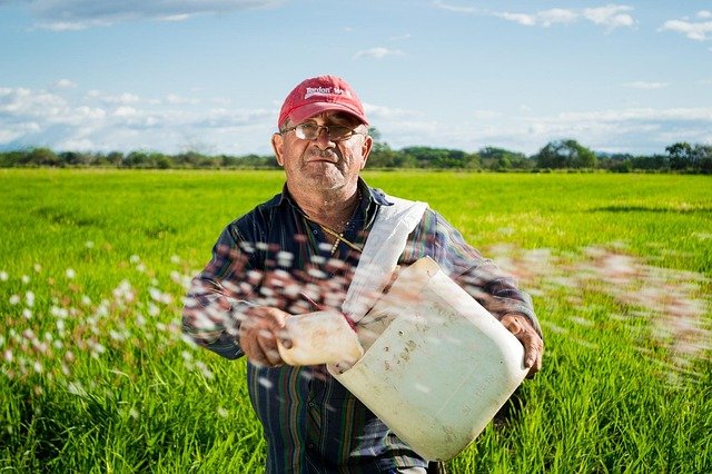 Servicios de Agricultura en Valladolid